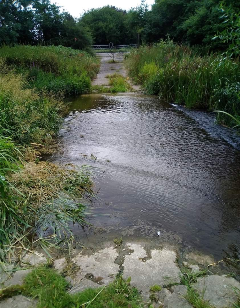 River Ford Epping Forest Forum