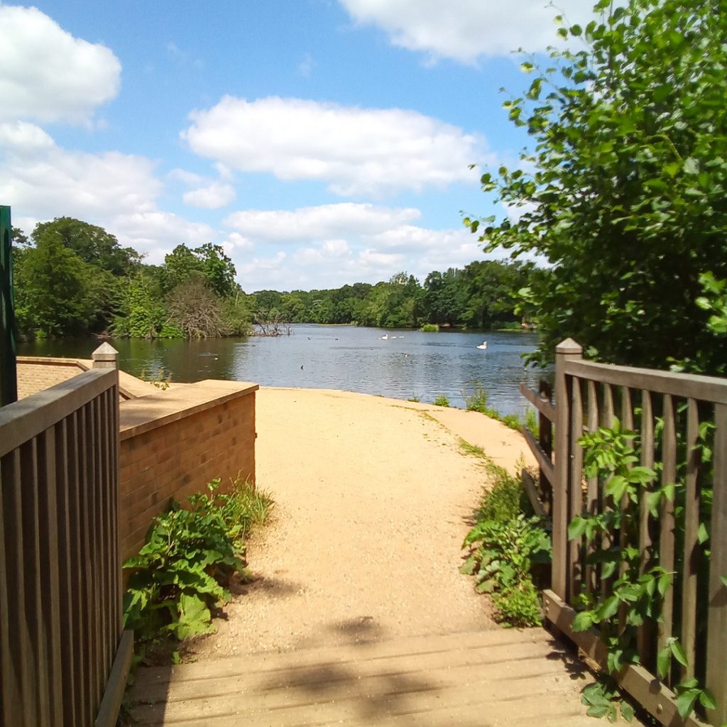 Fishing Platform - Picture of Highams Park, Chingford - Tripadvisor